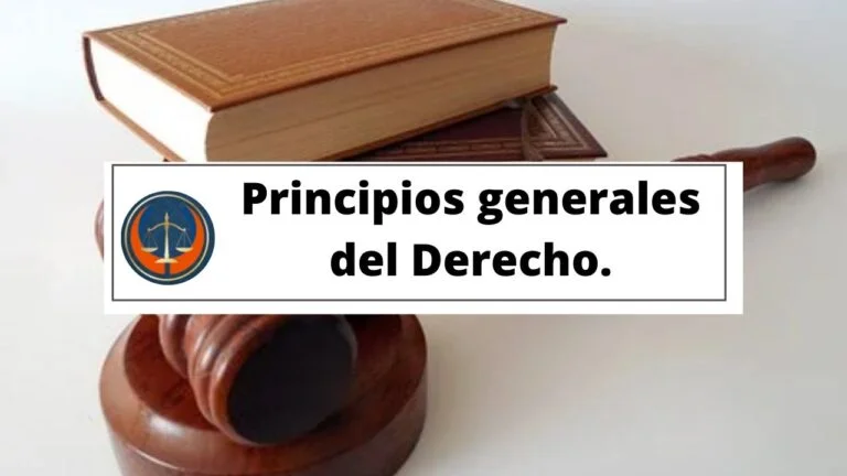 Principios Generales Del Derecho Concepto Ejemplos Característica 0713